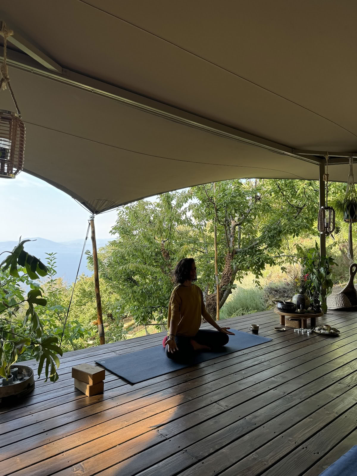 PELION HOMES｜リトリートセンター - 自然に基づく没入型のスローペース体験