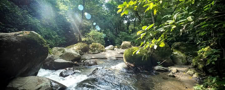 流れるもの