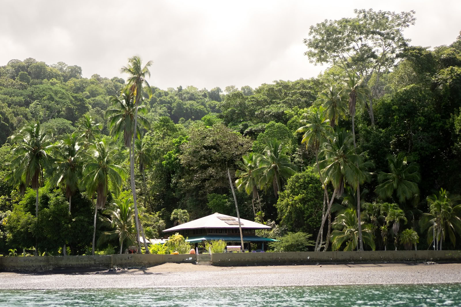 Pandorita Costa Rica - アヤワスカ・ワークショップ