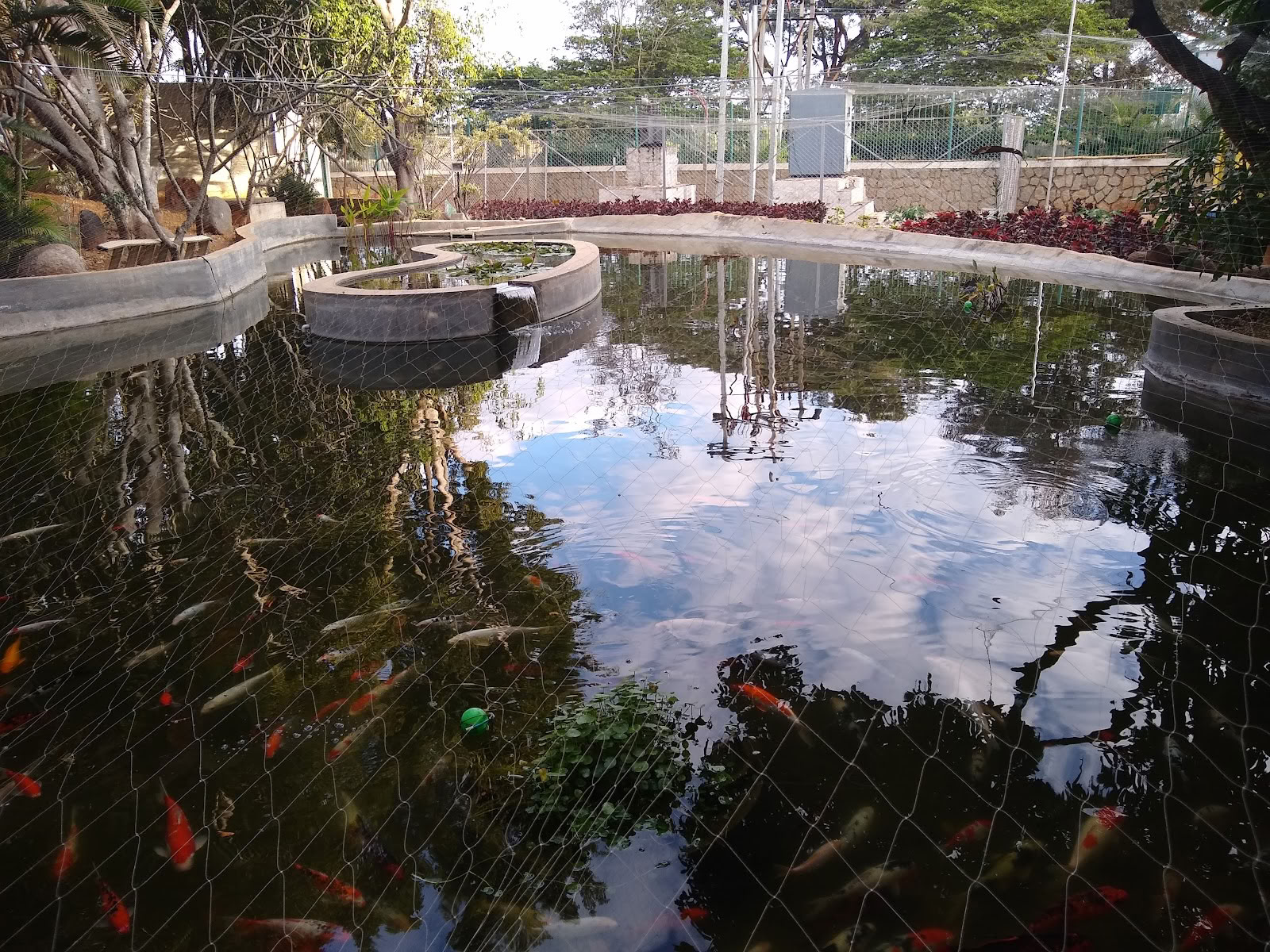古代叡智の学校