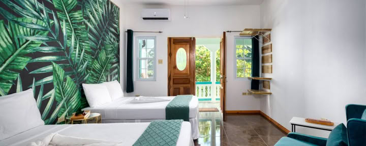 Suite 4 – Hidden Jungle (Double room)