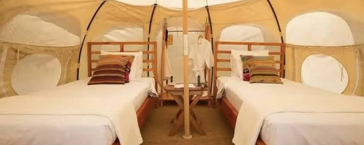 Shared Glamping Tent