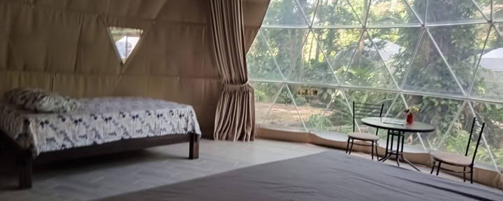 Private Rainforest Dome