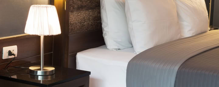 Palm Suite