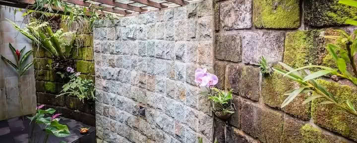 ライスウォーター・バンガロー