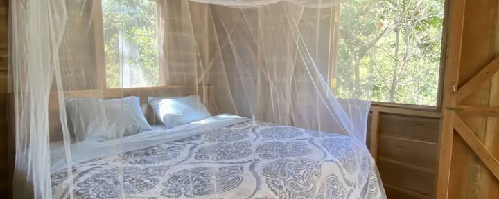 The Cabin