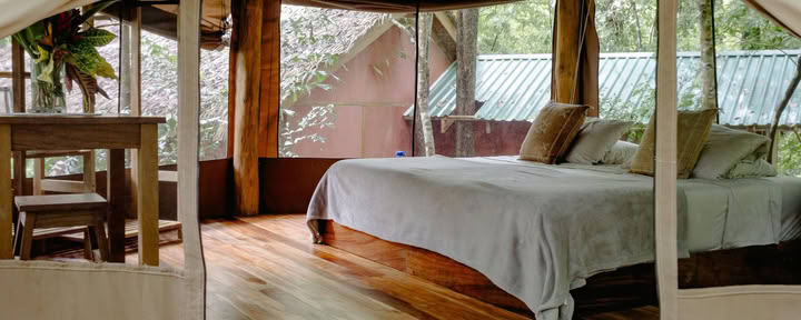 Garden Glamping