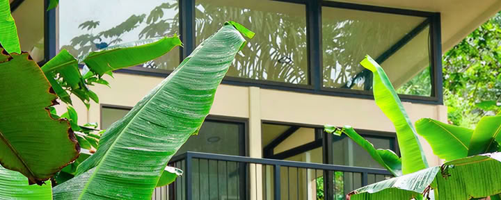 The Morpho Lodge