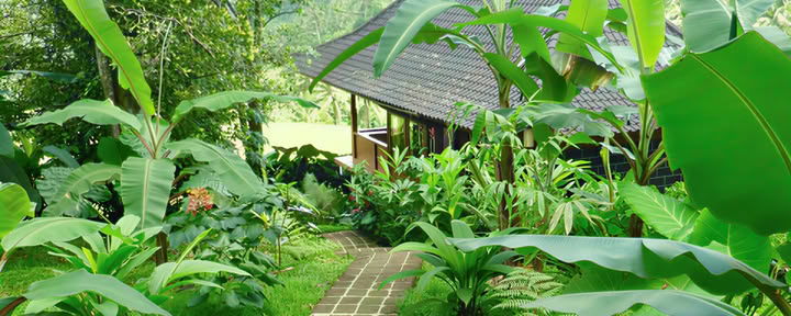 Villa Nangka