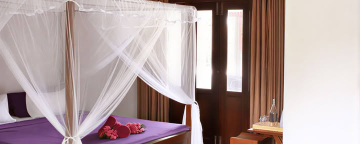 Deluxe Comfort Room