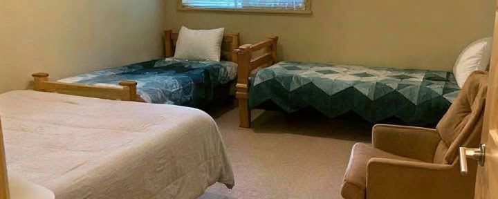 Lupine Suite