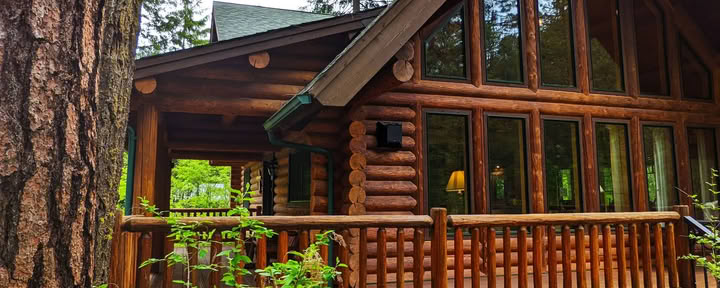 Woodland Chalet