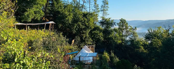 Bell Tent