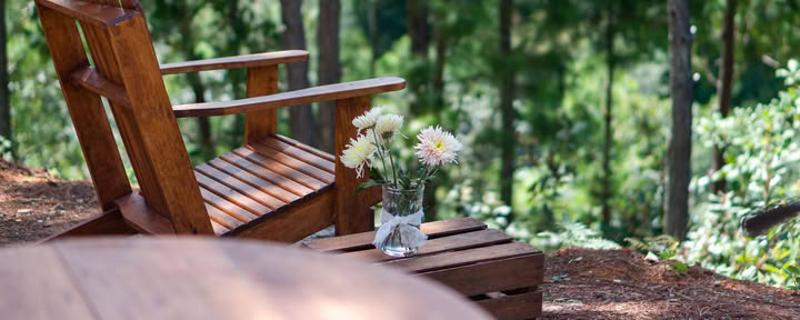 Private Cabin w/Private Bathroom, Terrace, & Forest View