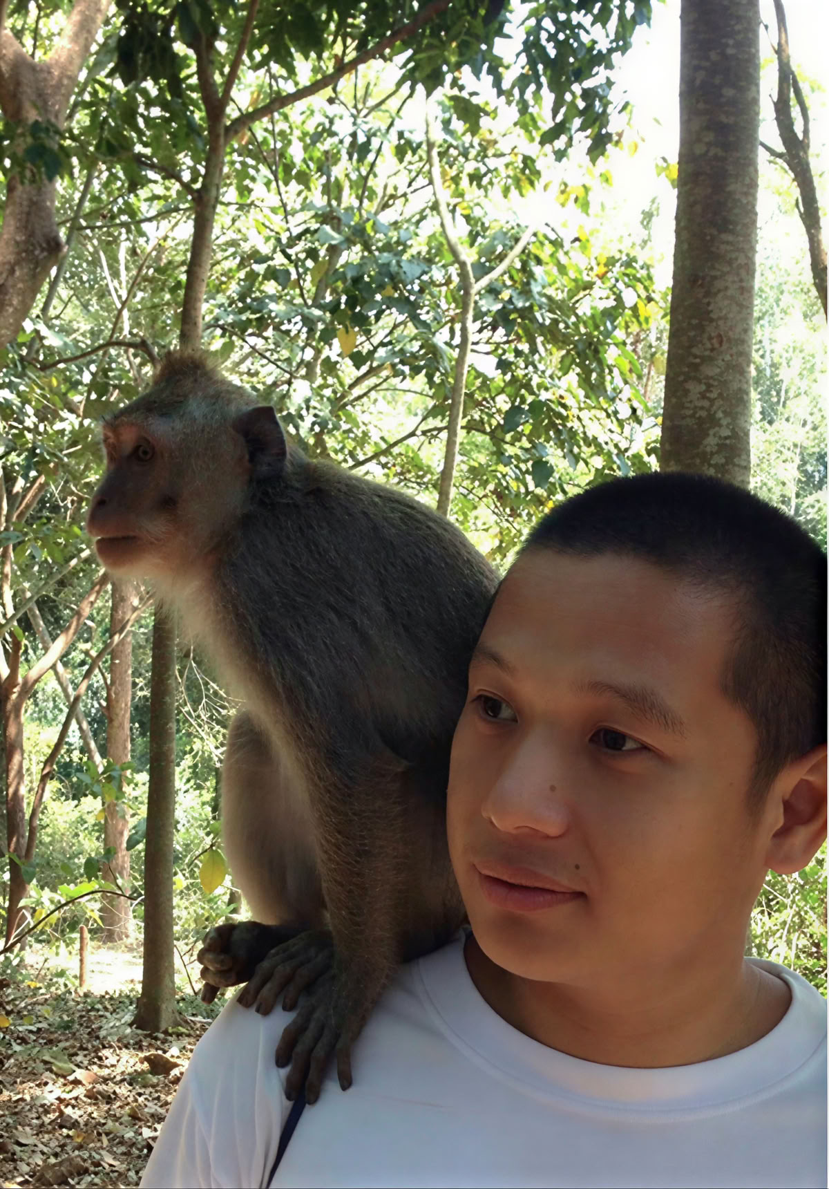 Dr.Michael Allen Tongson