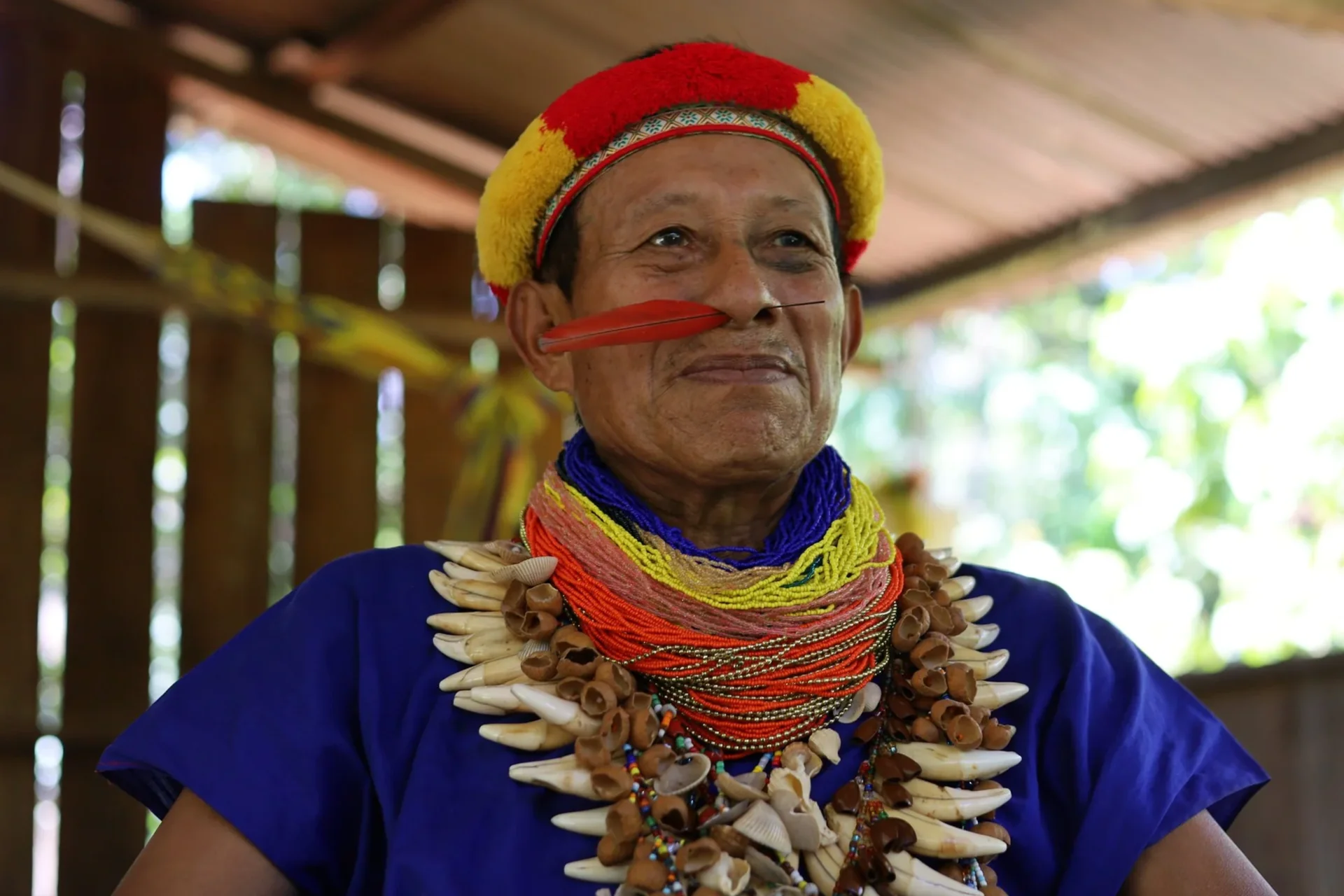 Taita Abuelo Herminsul Lucitante