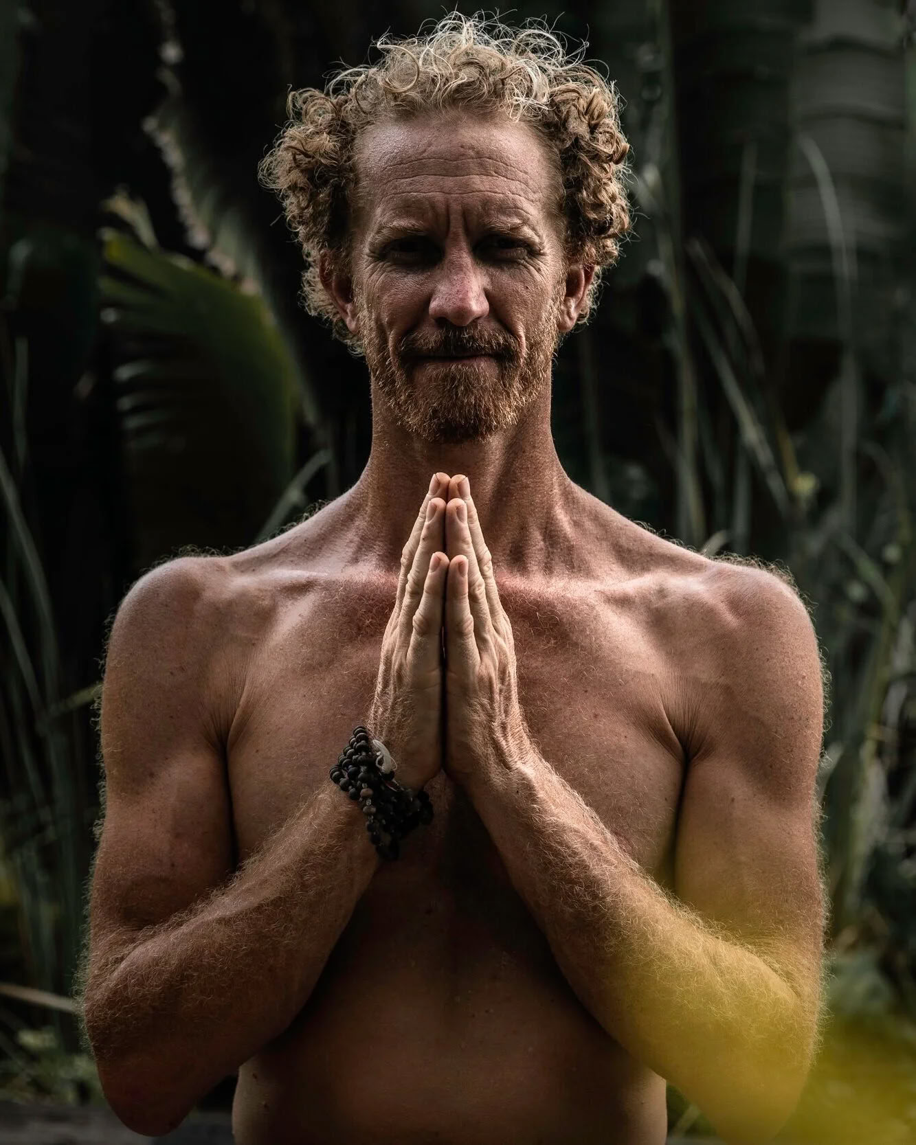 Damien de Bastier