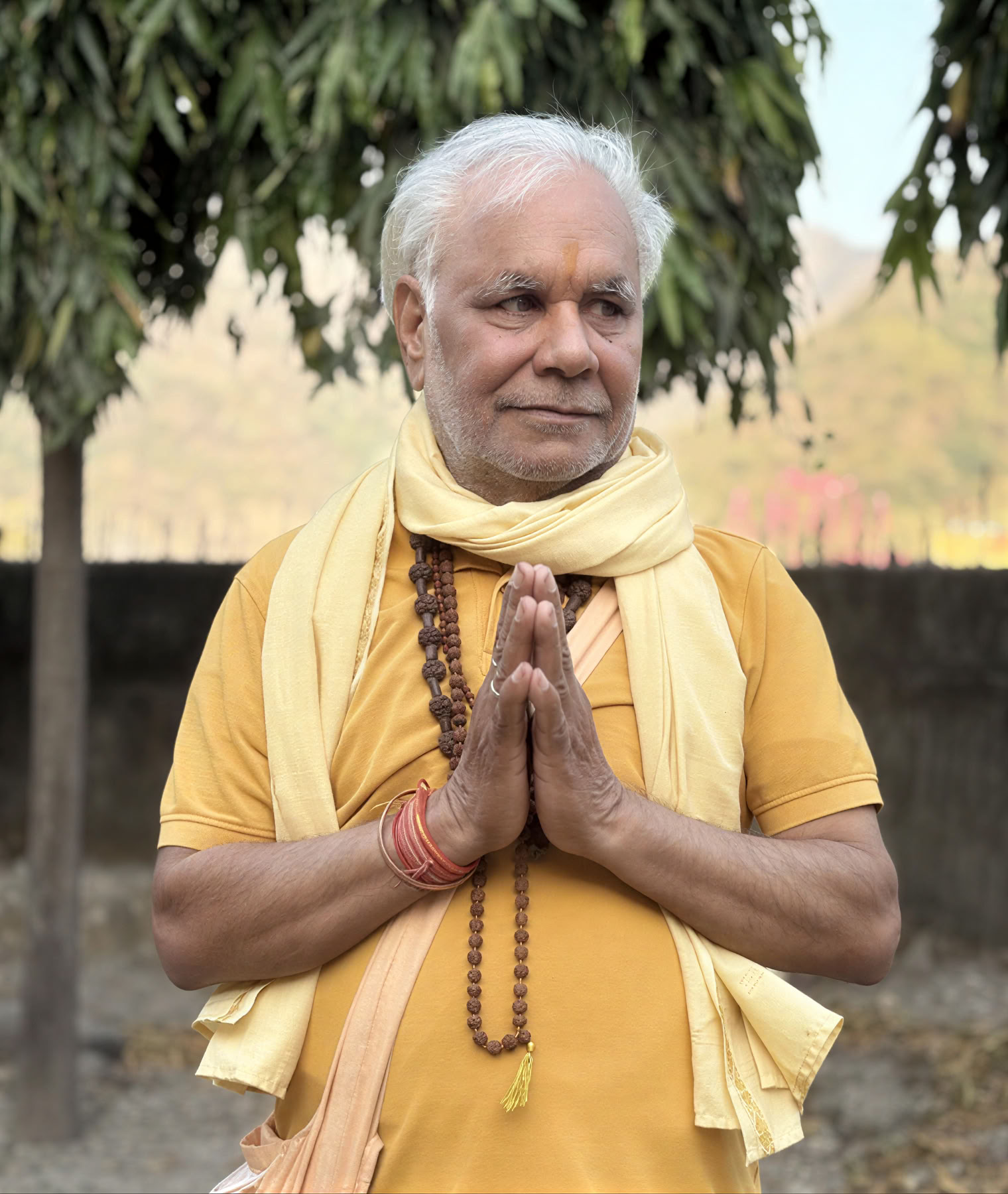 Yogi Yogendra Mishra Ji